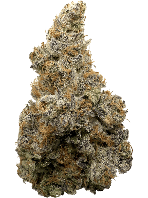 Rhize | G13 Skunk | 3.5g Flower by Rhize