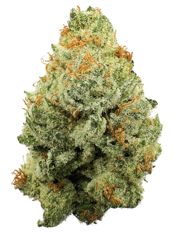 Rhize | Strawberry Guava | 3.5g Flower by Rhize