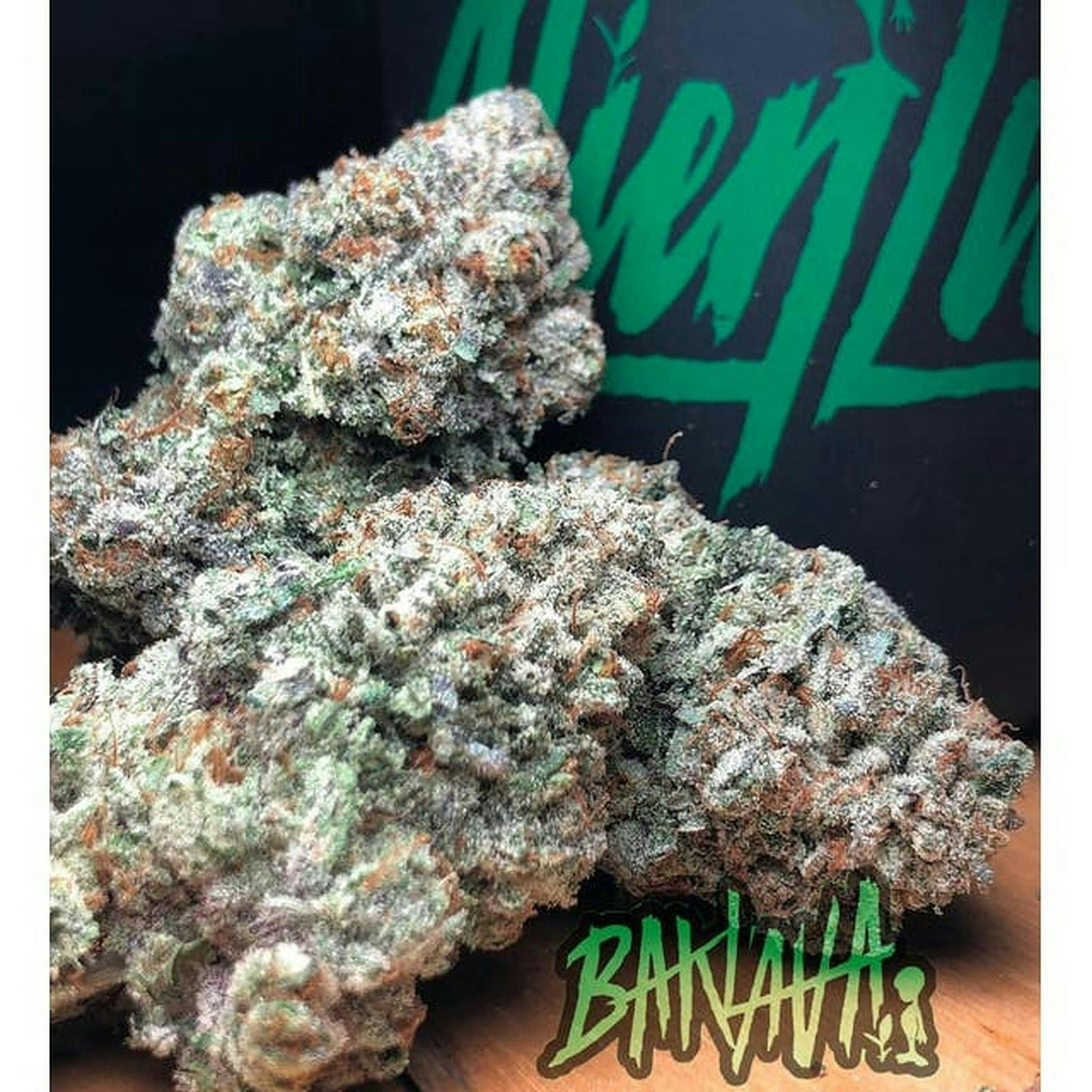 Alien Labs — Baklava