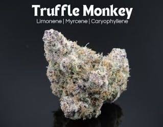 Truffle Monkey – 14.15g