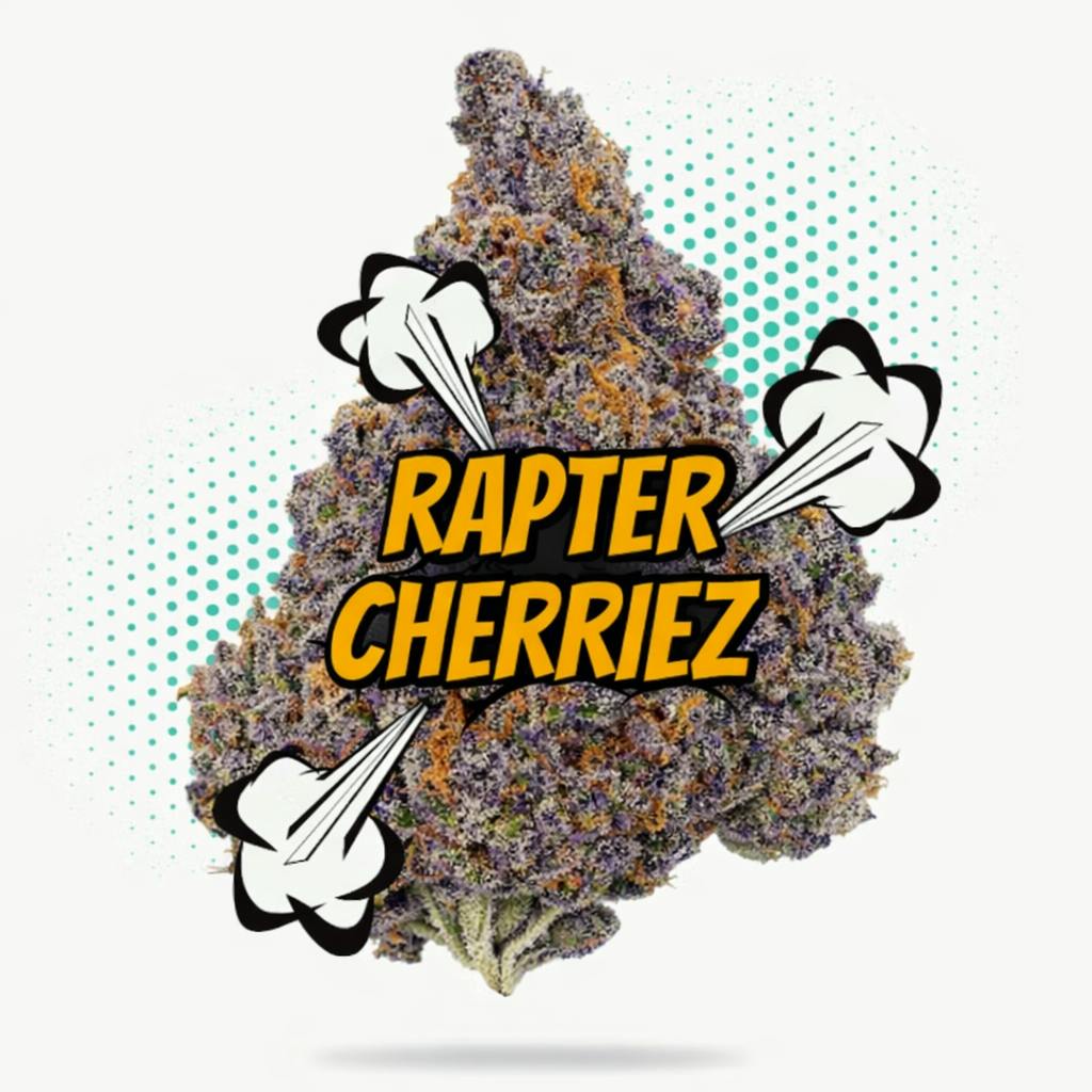 Frostiez: Rapter Cherriez - Topshelf - New Drop