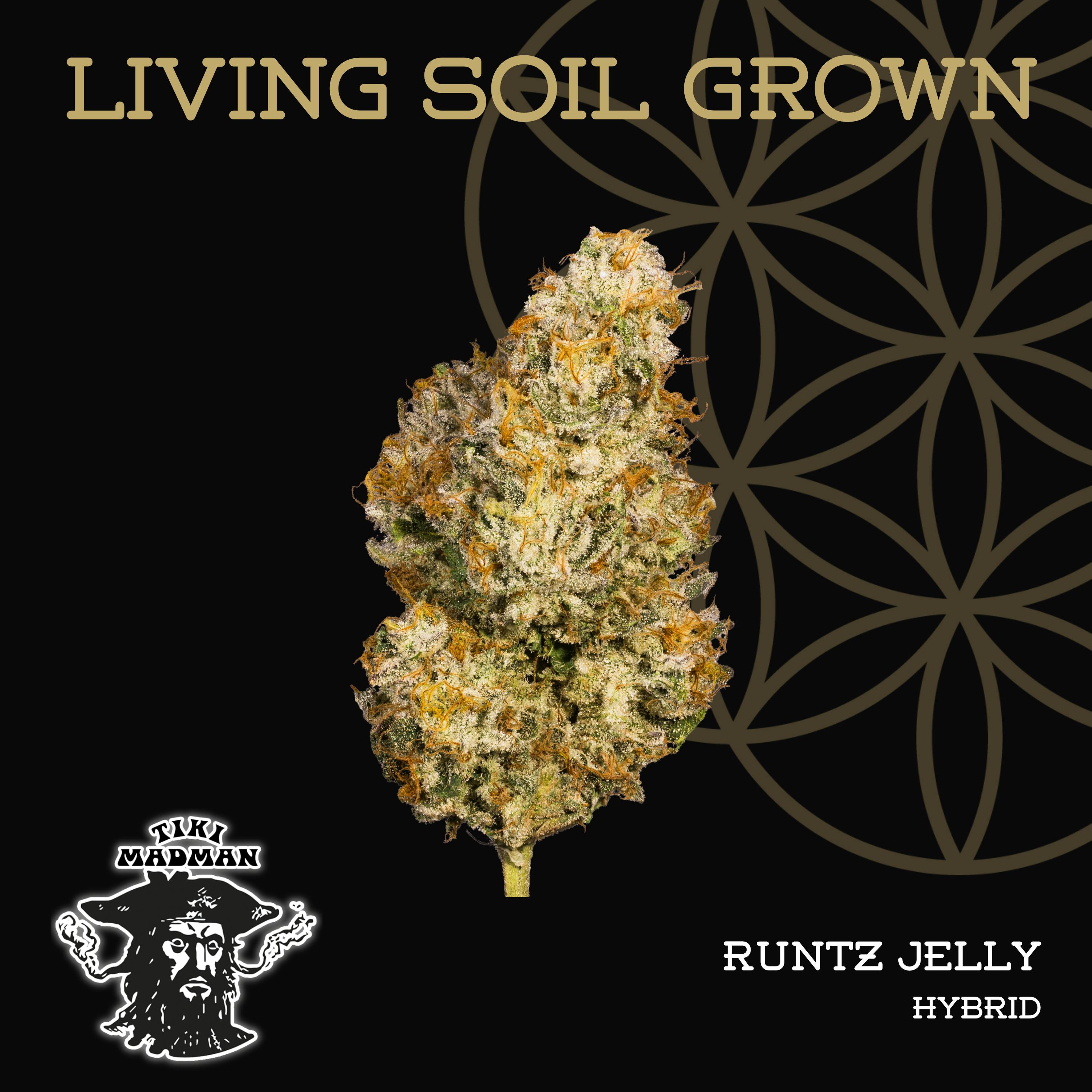 Runtz Jelly | Bulk Deli | Living Soil by Flower of Life