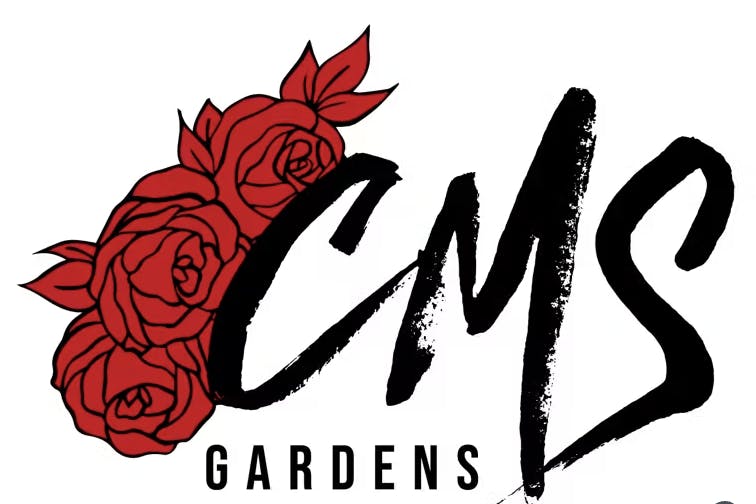CMS Gardens - Bananaconda Flower 3.5g