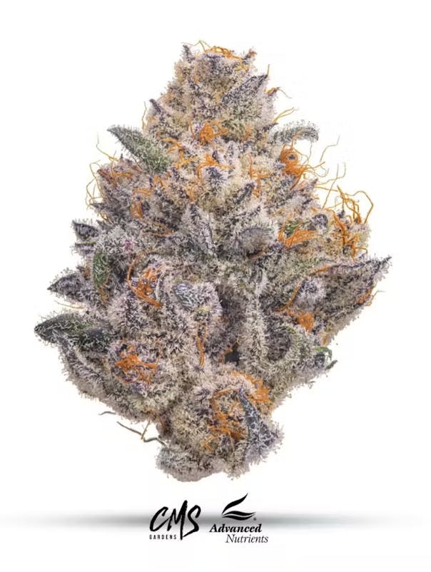 CMS Gardens - Cherrylicious Flower 3.5g