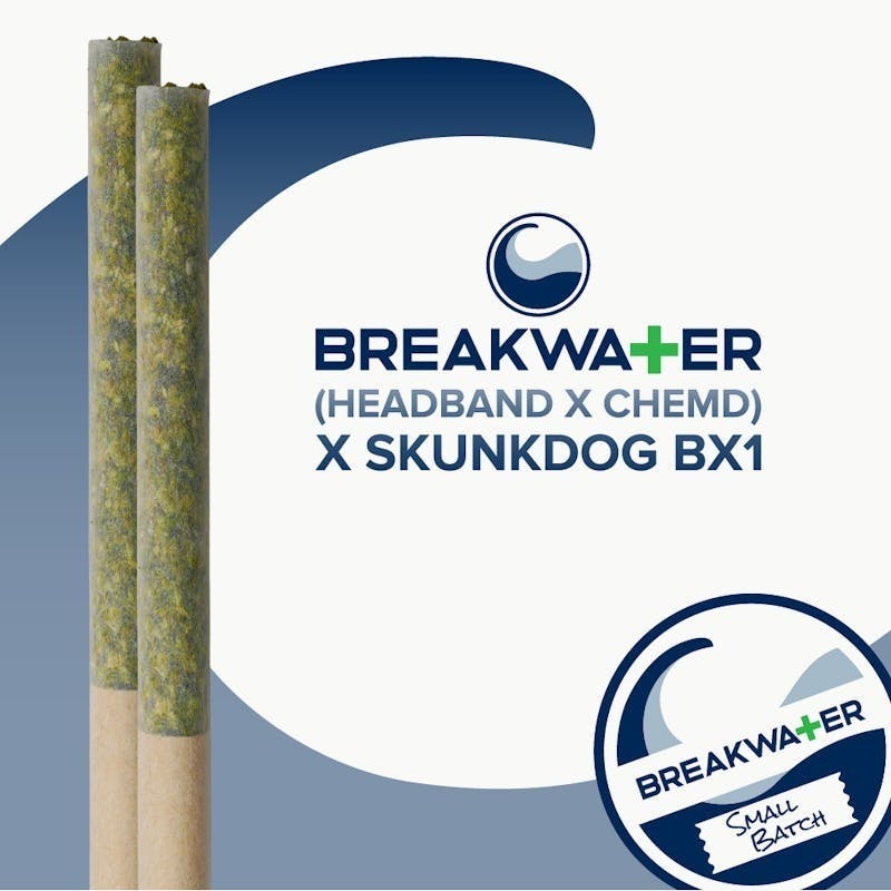 Headband x ChemD x Skunkdog Bx1 | 2pk Pre-Roll 1g