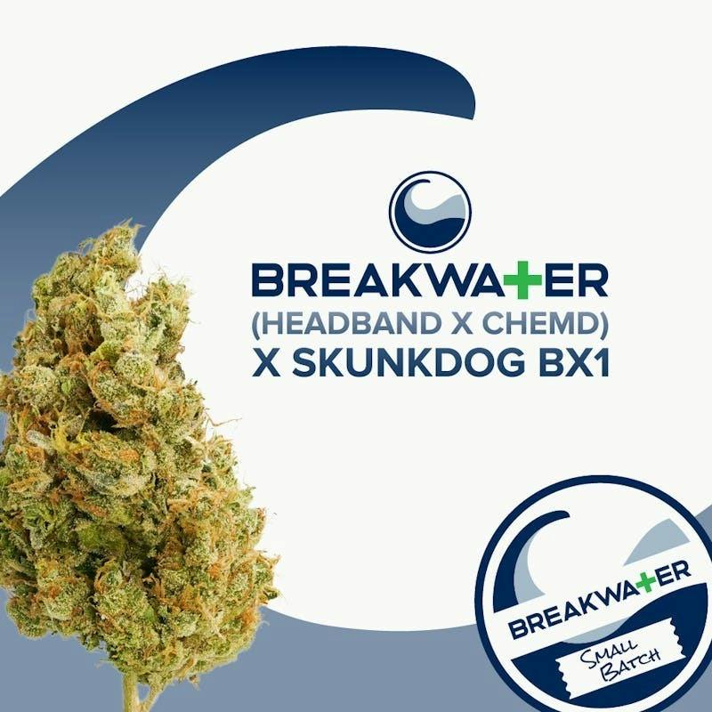 Headband x ChemD x Skunkdog Bx1 | Flower 7g by Breakwater