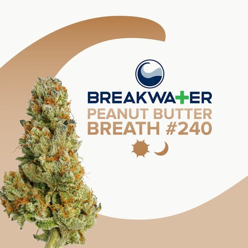 Peanut Butter Breath #240 | Flower 3.5g