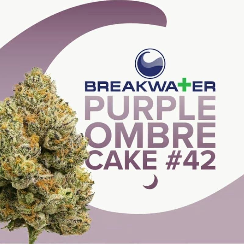 Purple Ombre Cake # 42 | Flower 7g by Breakwater