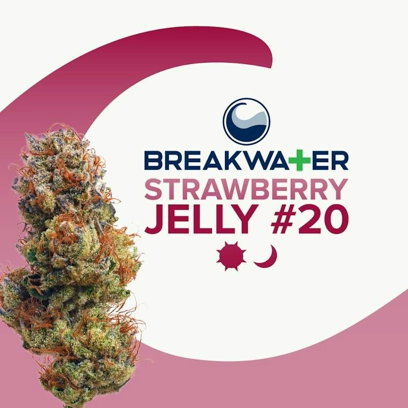 Strawberry Jelly #20 | Flower 3.5g by Breakwater