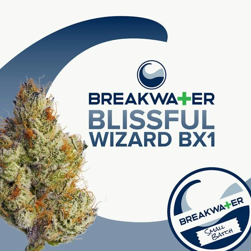 Blissful Wizard BX1 | Flower 7g by Breakwater