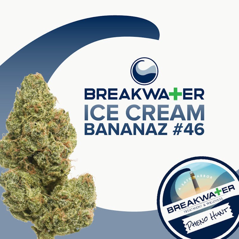 Ice Cream Bananaz #46 | Flower 3.5g