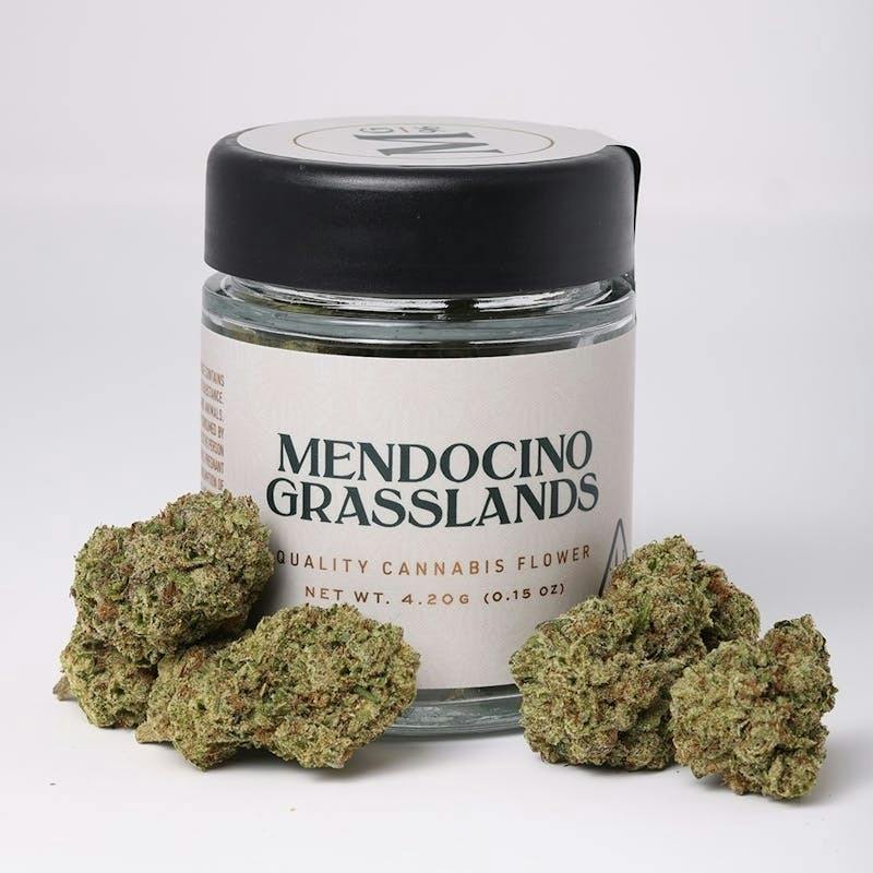 Mendocino Grasslands | GMO 4.2g by Mendocino Grasslands