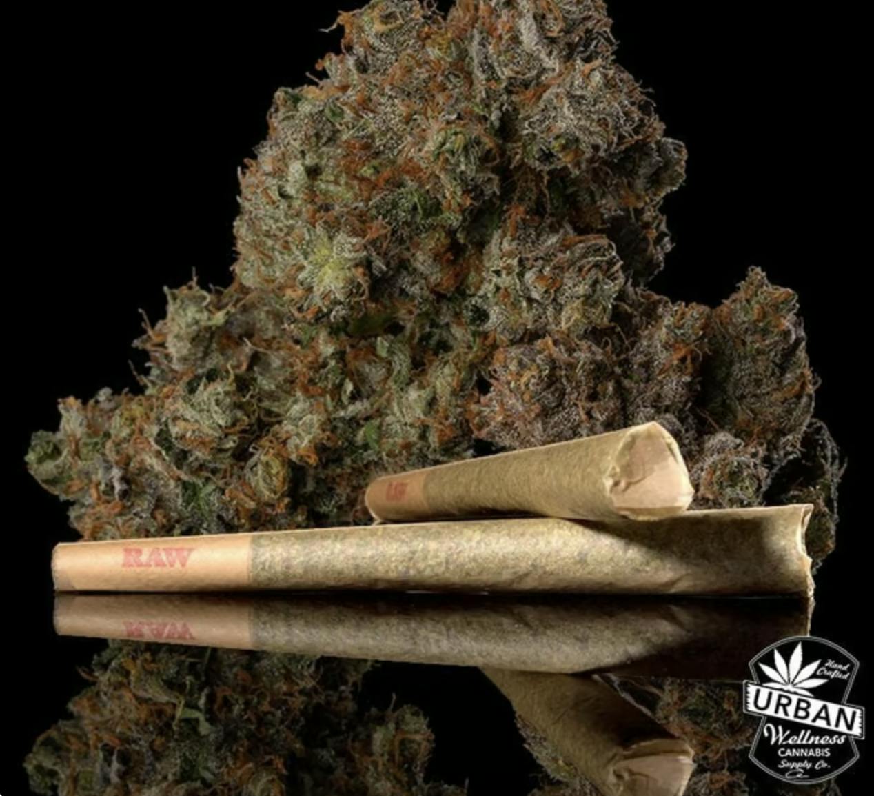 Urban Wellness | Bad Omen | Pre Rolls | 1g by Urban Wellness