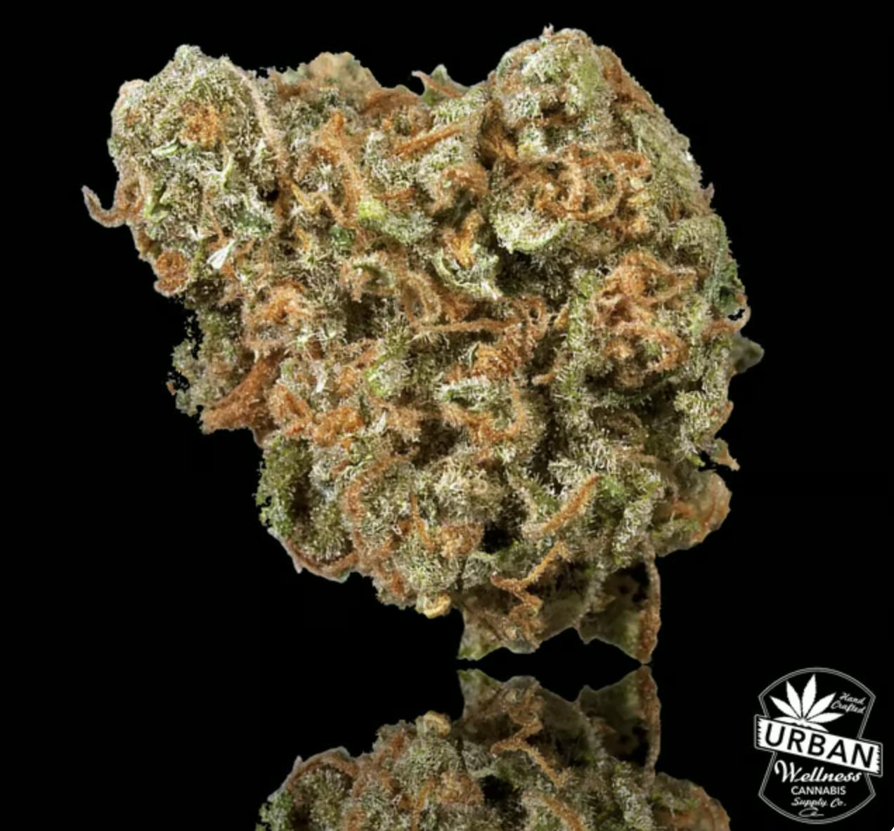 Urban Wellness | Don Mega | Flower | 3.5g