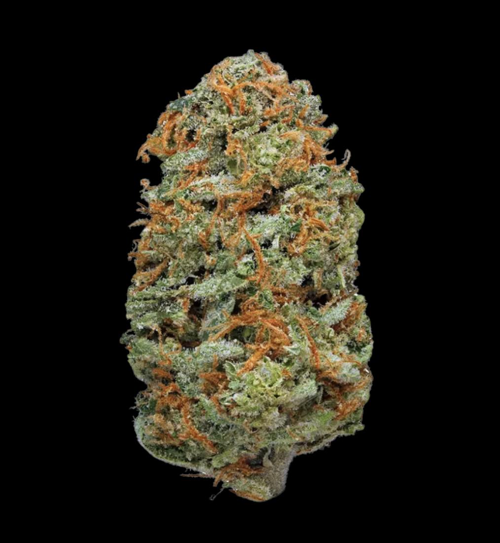 Humboldt Growers Network: Jelly Donutz