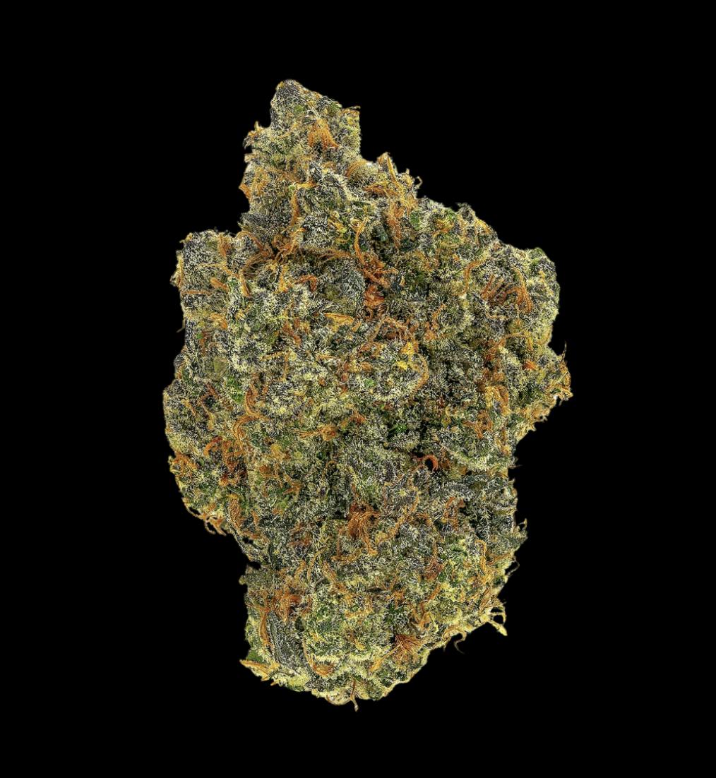 Humboldt Growers Network — Panic Switch