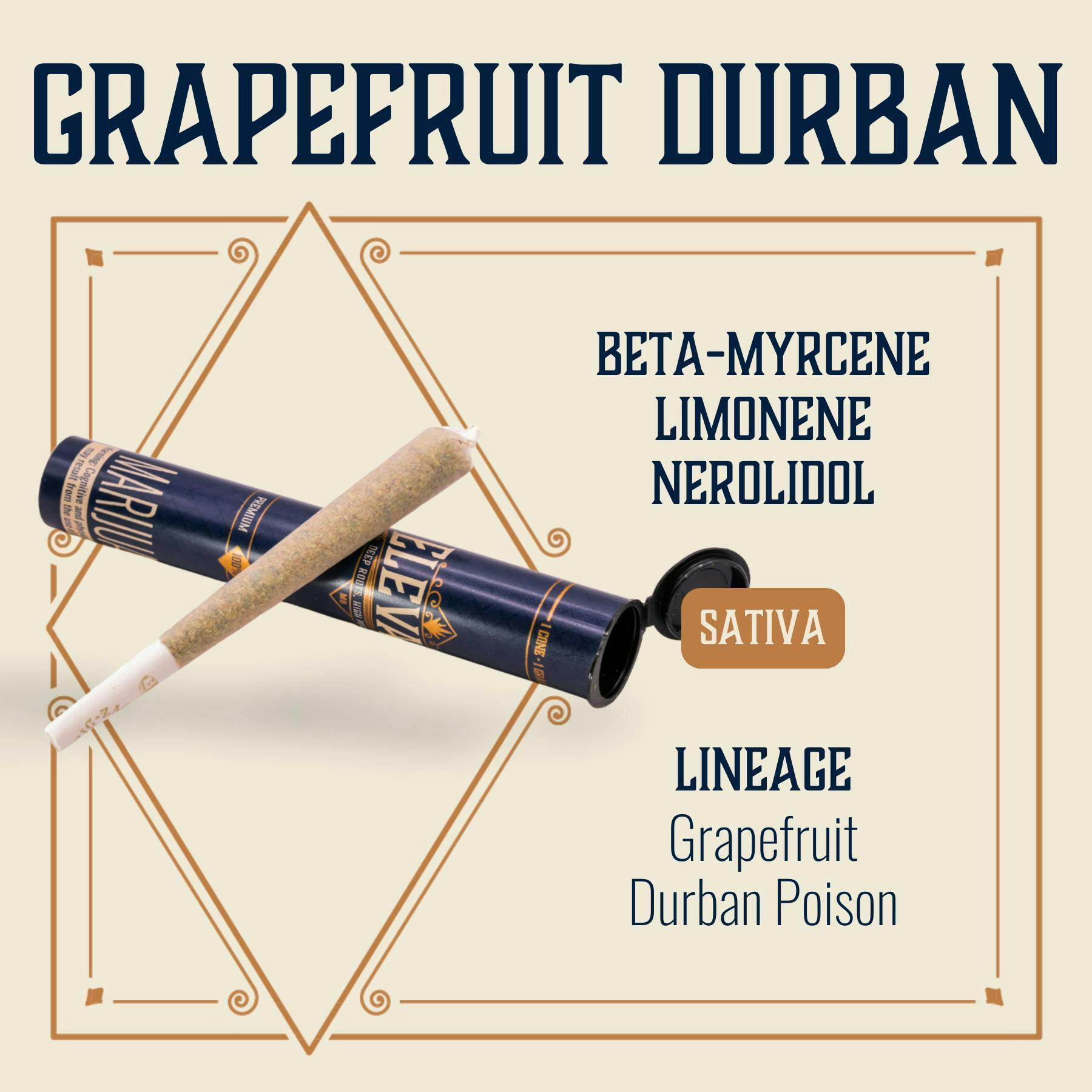 Grapefruit Durban - 1g Cone