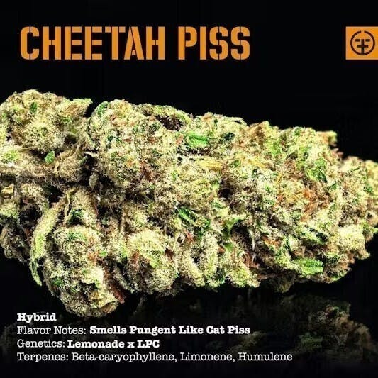 Farmer and the Felon — Cheetah Piss