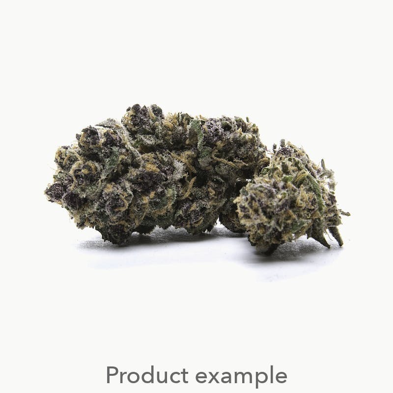 Lemon Cherry Gelato Flower