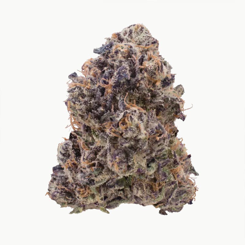 Electric Lemonade Flower