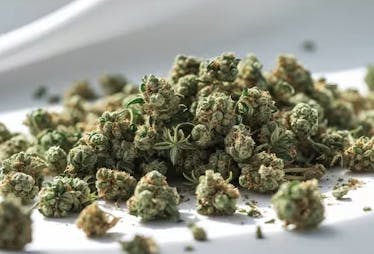 Cherry Dosido Flower - 7g Minis