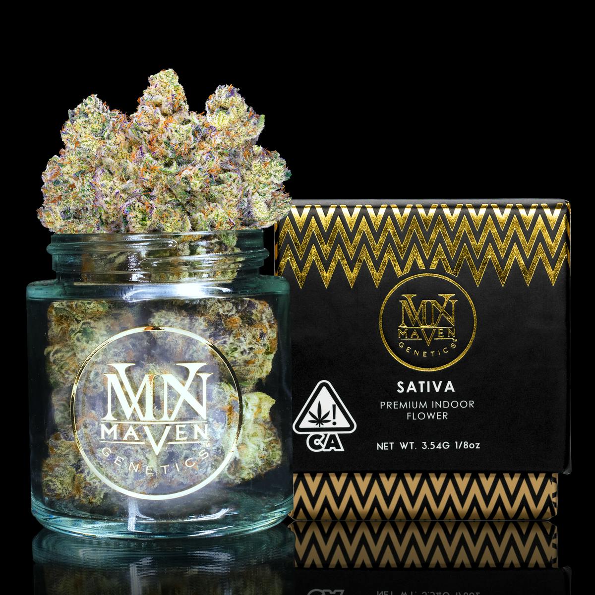 Maven Genetics — Pineapple Biscotti