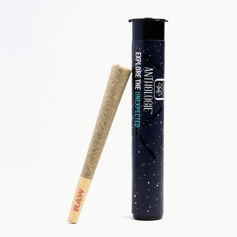Anthologie - Glitter Bomb Pre Roll 1g