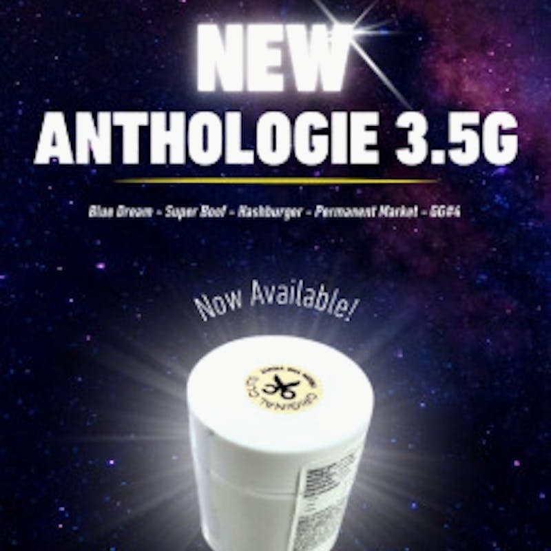 Anthologie - Hash Burger 3.5g by Anthologie