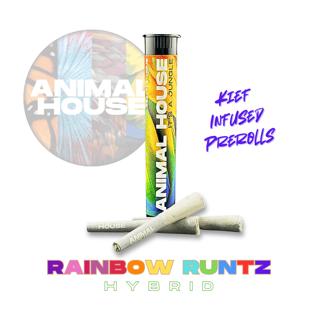 Animal House | Rainbow Runtz | Infused Minis | 0.5g each | 3pk