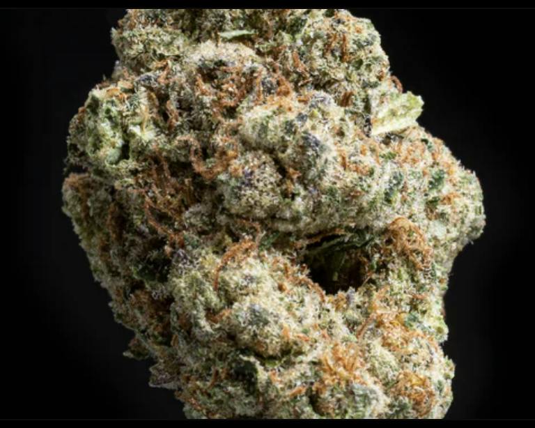 Xotic Flavorz - GMO Flower 3.5g