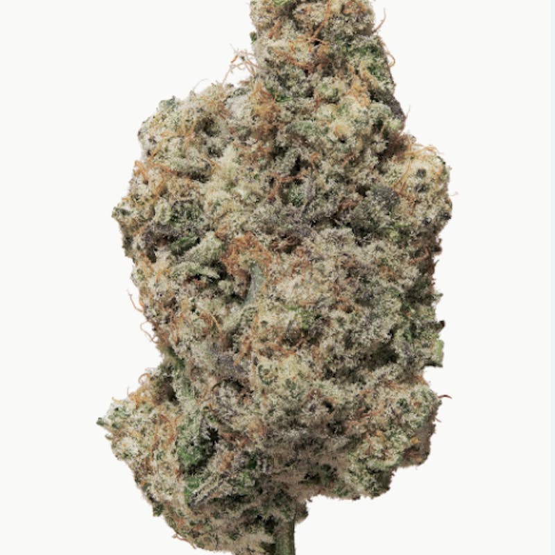 White Gummiez Shake Flower