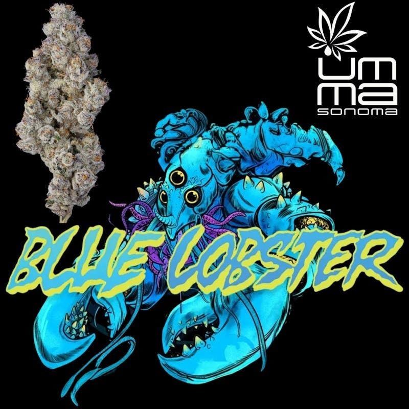 Blue Lobster Flower