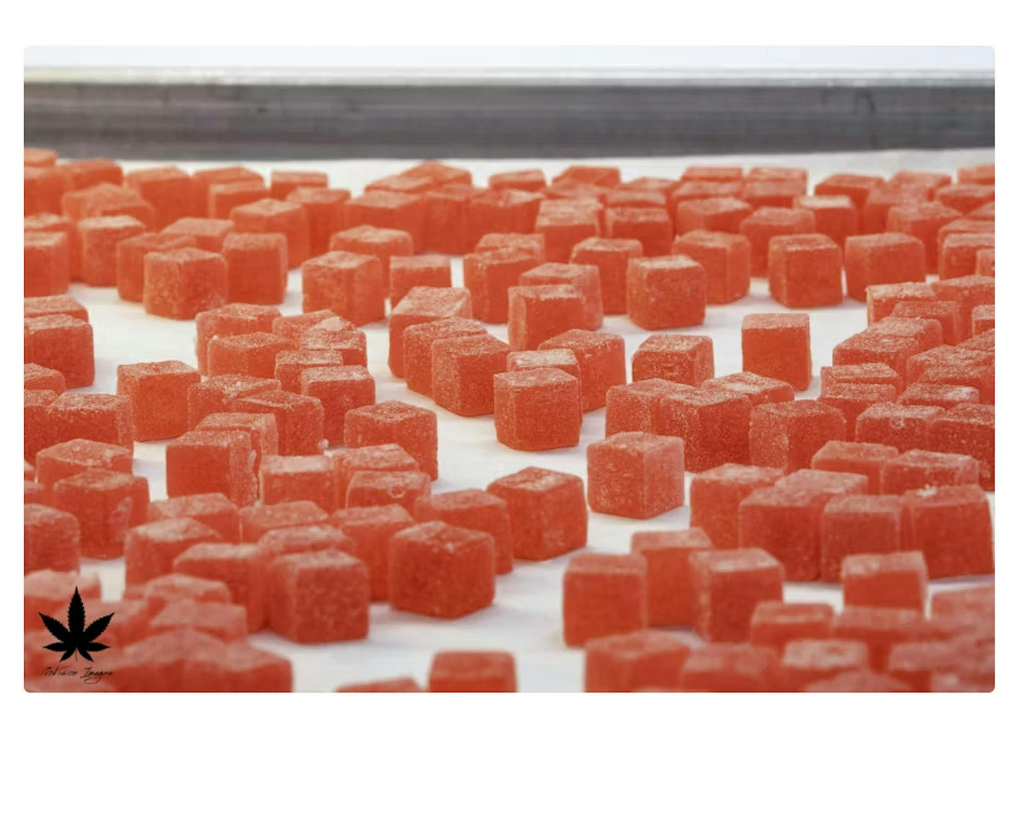 10pk Live Rosin Gummies Honeyberry