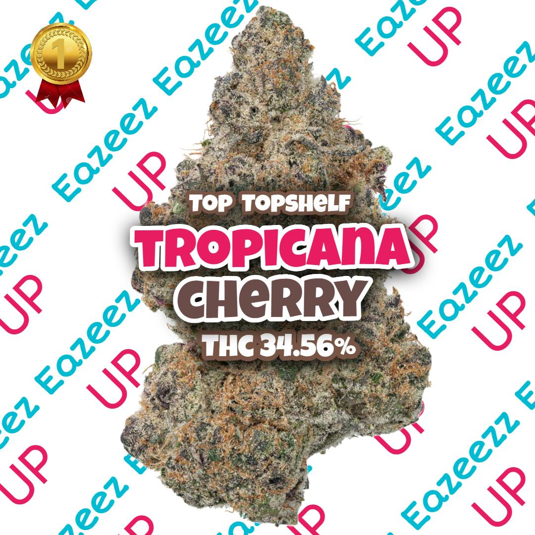 Tropicana Cherry - TOP Topshelf - (3.5g-1/8oz) - Hybrid - EAZEEZ UP
