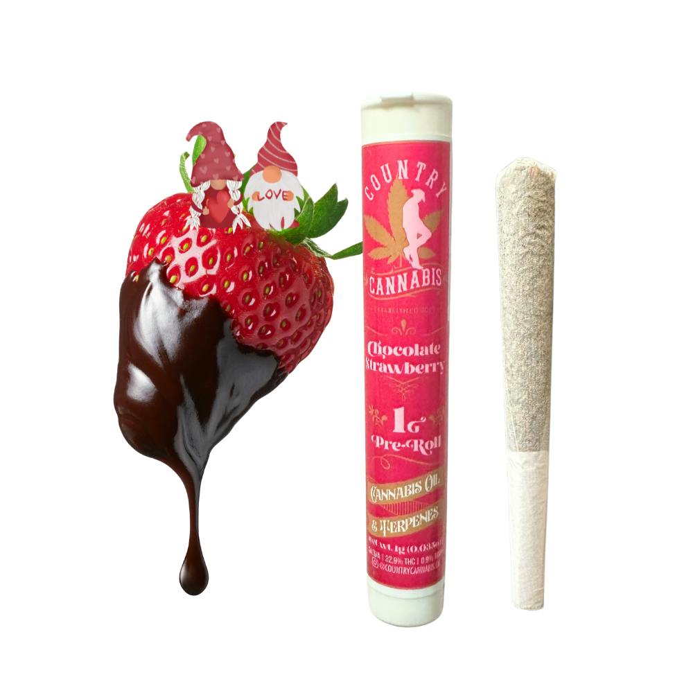 Chocolate Strawberry | Infused Preroll | 1G