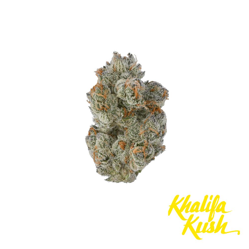 Khalifa Kush: Point Breeze