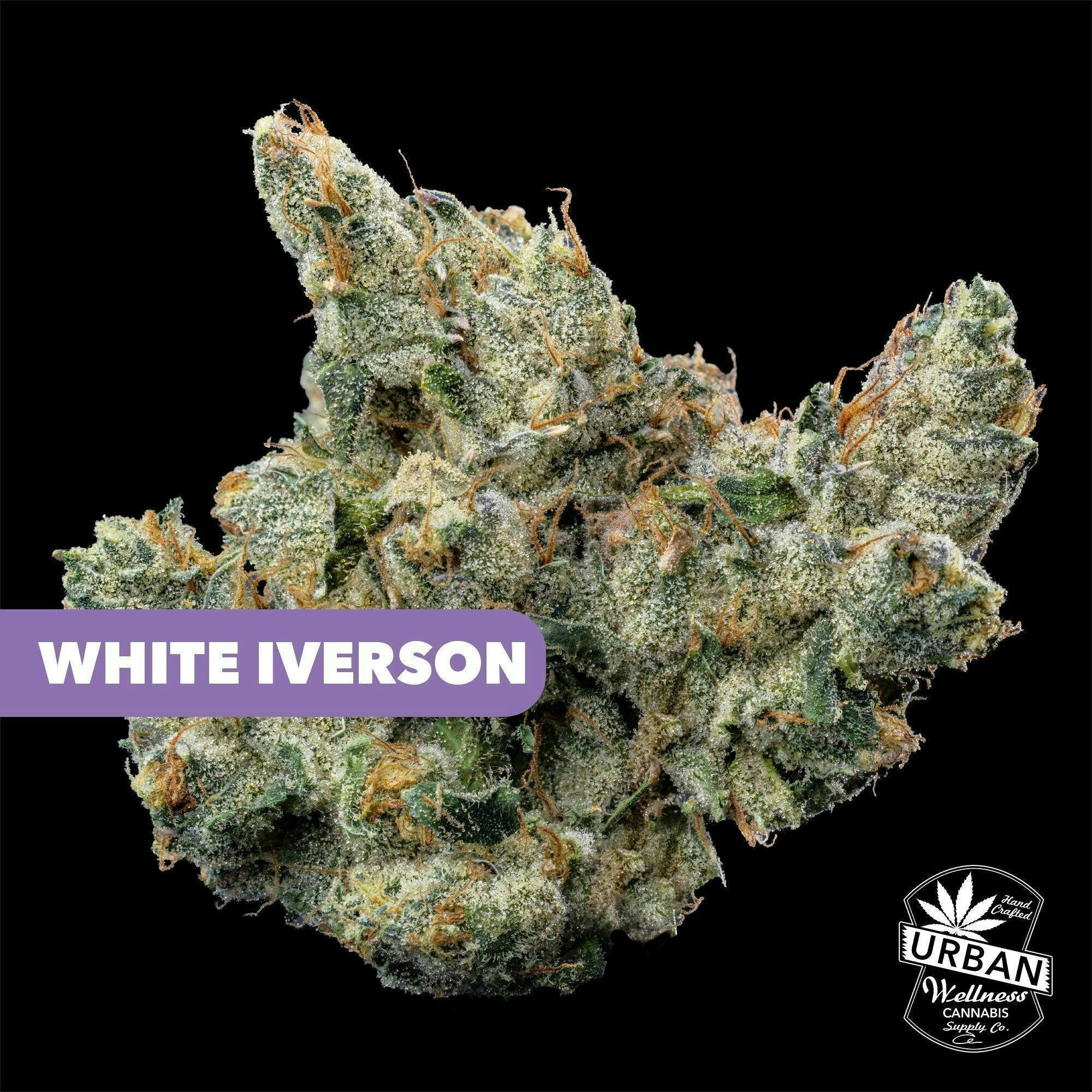 Urban Wellness | White iverson | Flower | 1g