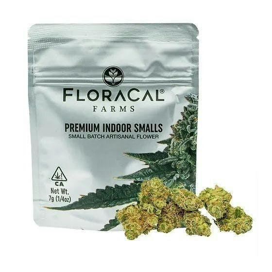 Maui Punch | Hybrid Smalls [7g] by FloraCal Farms