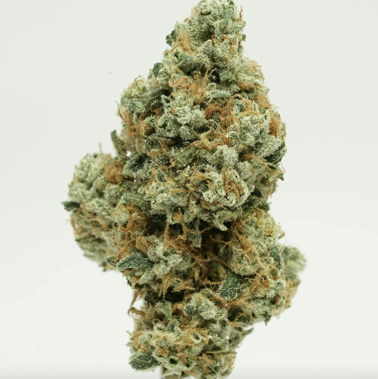 ROYAL KEY — Ios OG