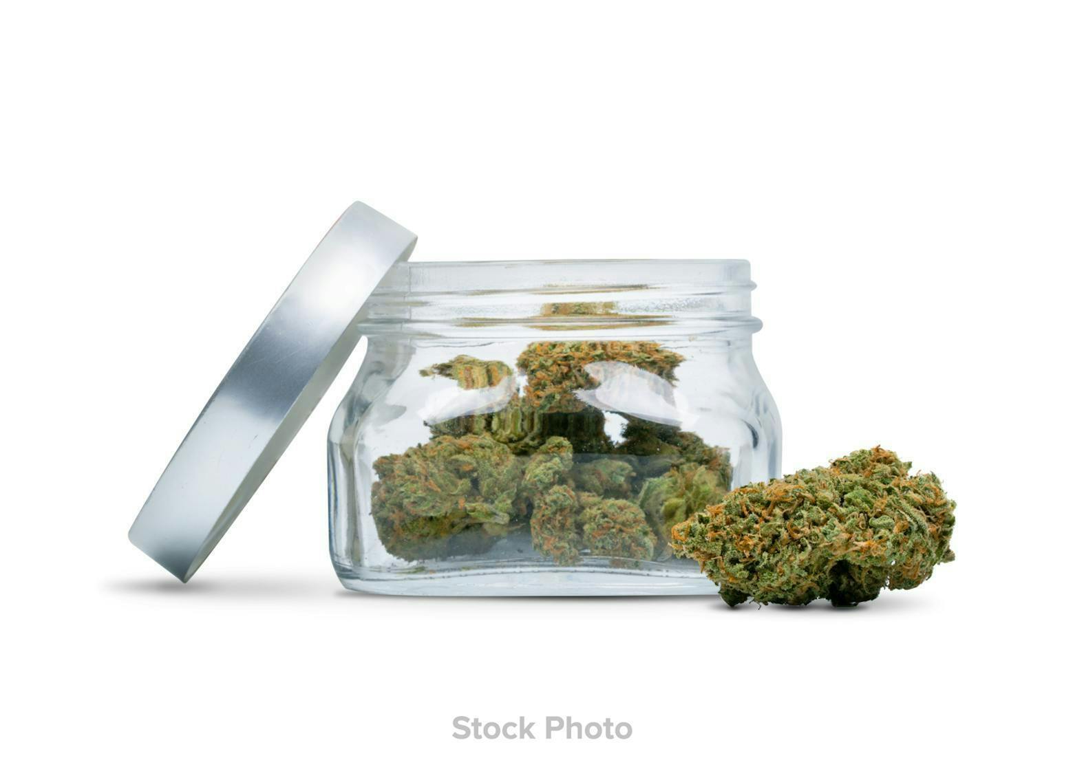 Cookie Breath Flower