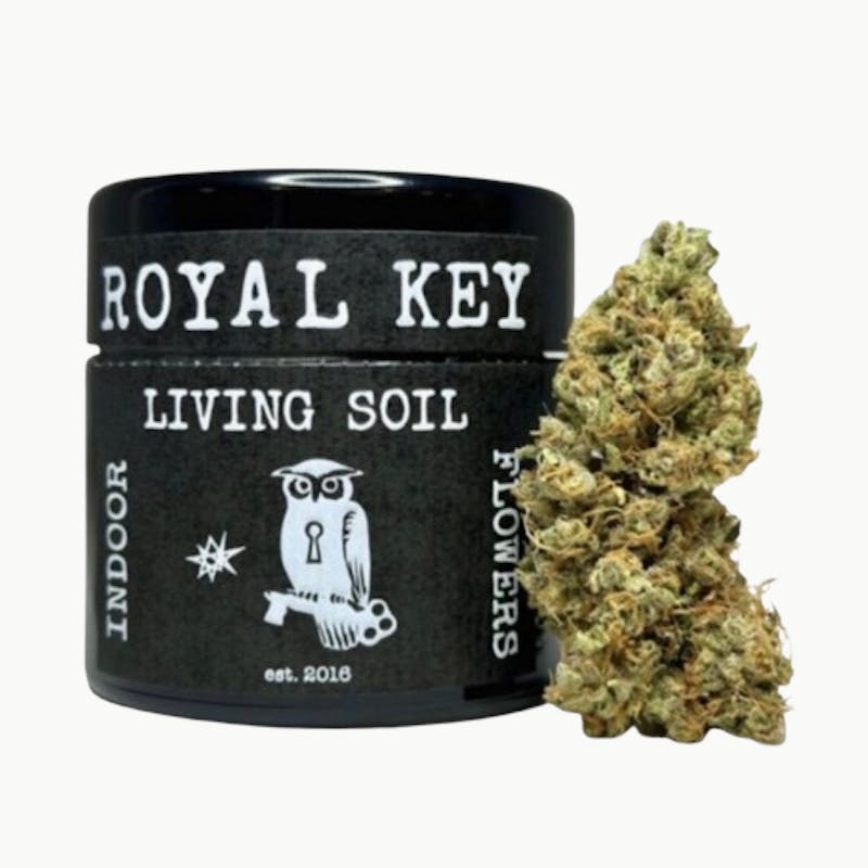 Royal Key | Z 3.5G