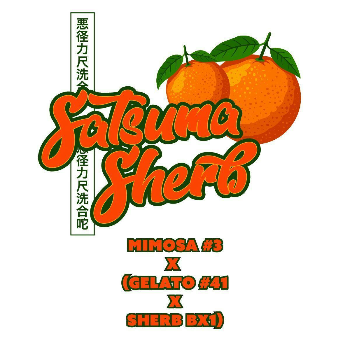 Satsuma Sherb - 3.5g Prepack Flower by Okie TSGP