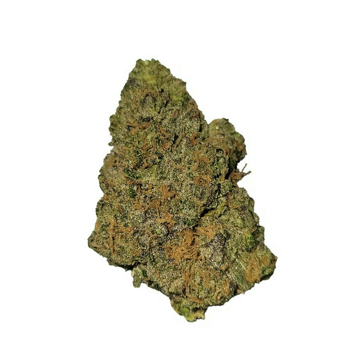 Black Maple | Big Buds | 3.5g at Edina Canna