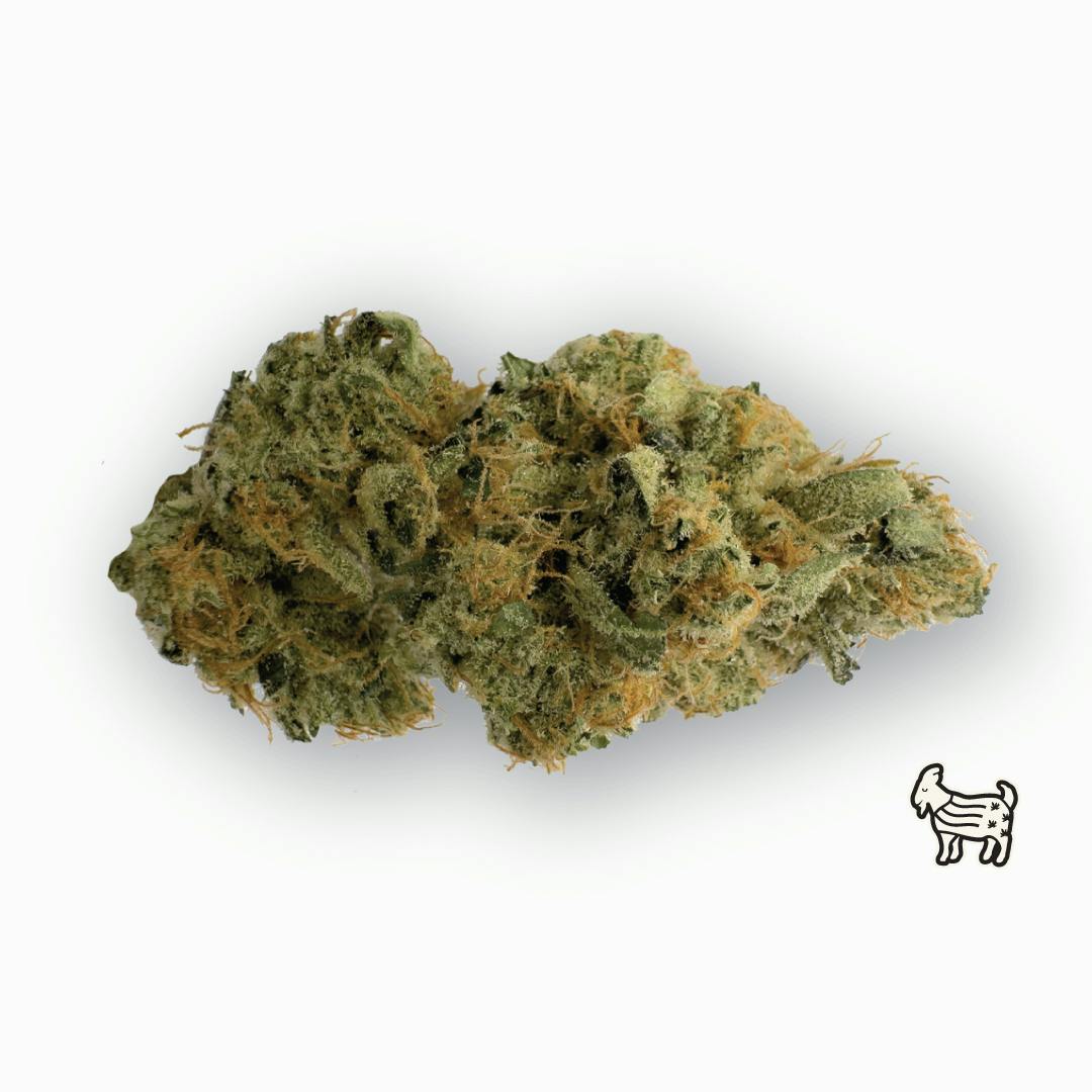 SOUR GOAT | BIG BUDS | 14G