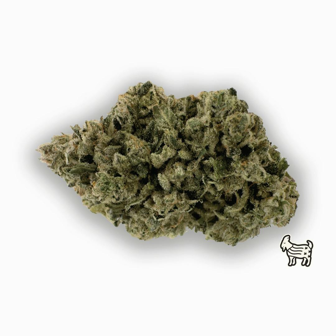 COOKIE DOUGH SUNDAE | BIG BUDS | 3.5G by The Laughing Goat