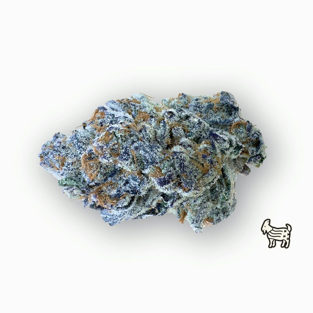Purple Dosidos Big Buds