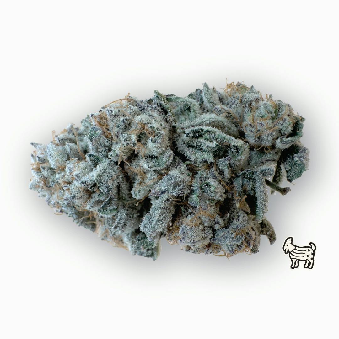 Hippie Crasher Big Buds