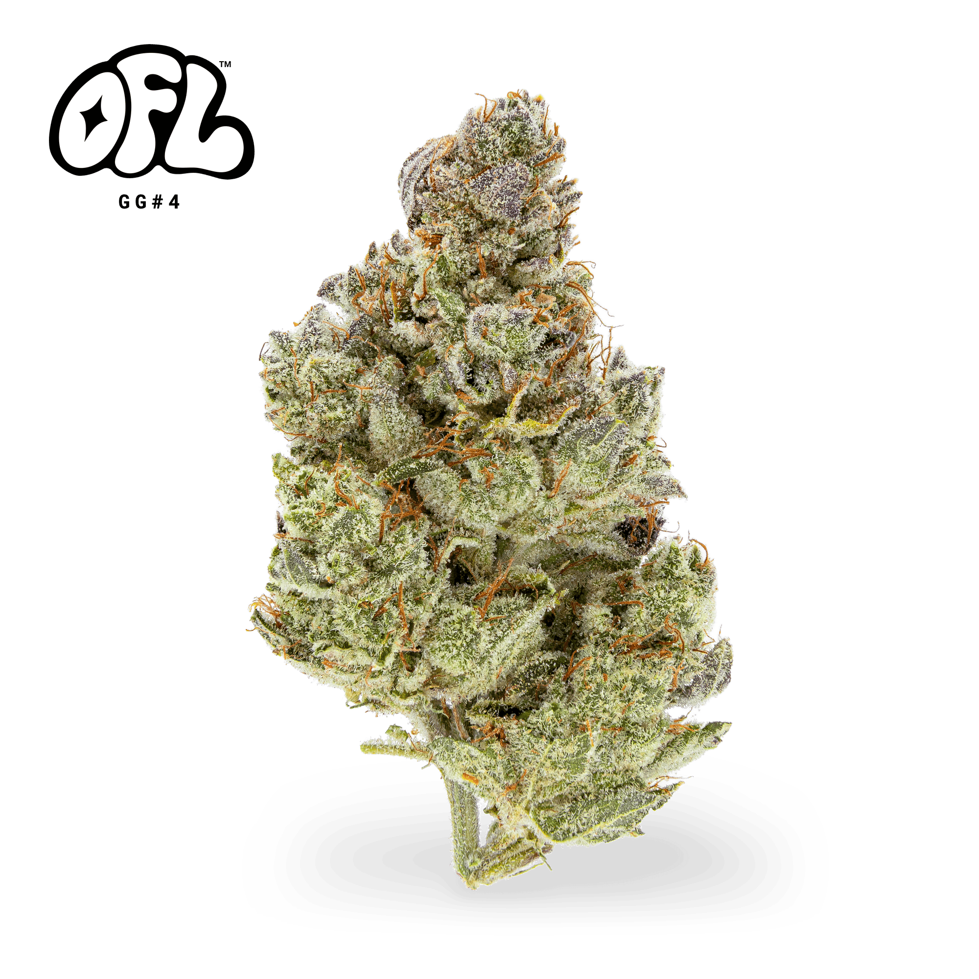 GG#4 | Big Buds | 7g