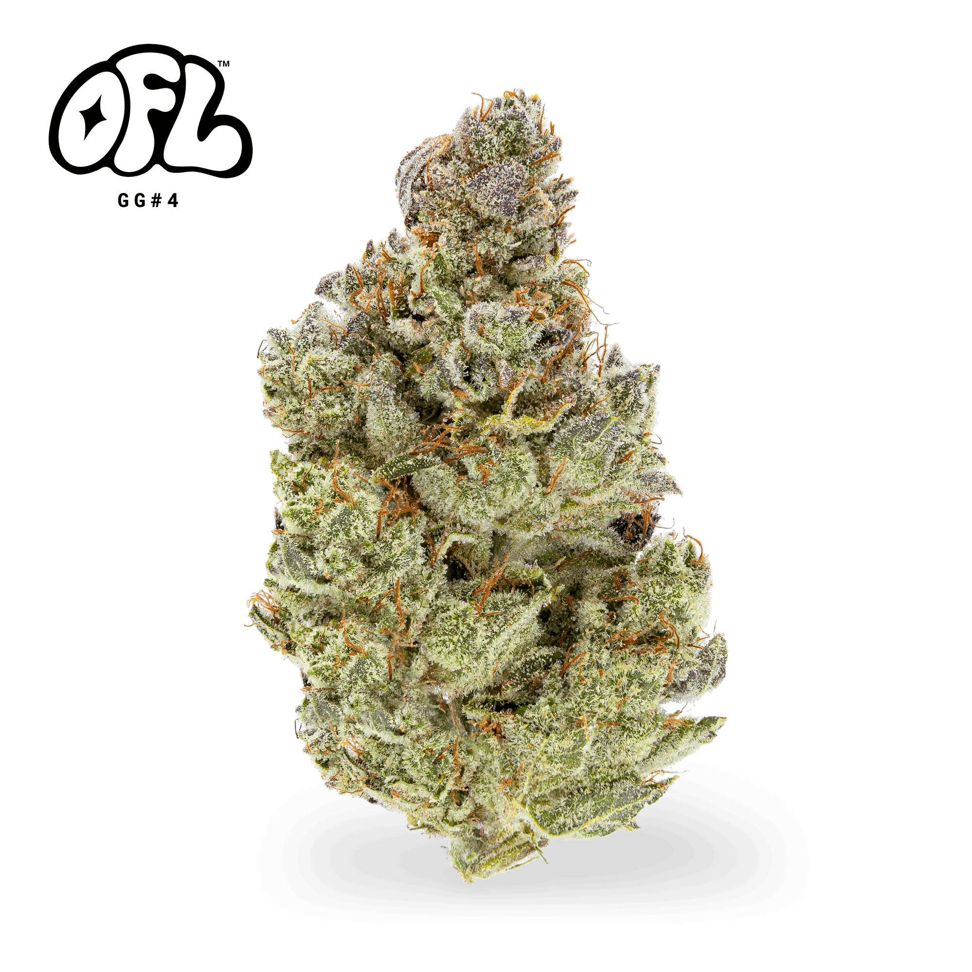 Y2K Series | GG#4 | Big Buds | 3.5g