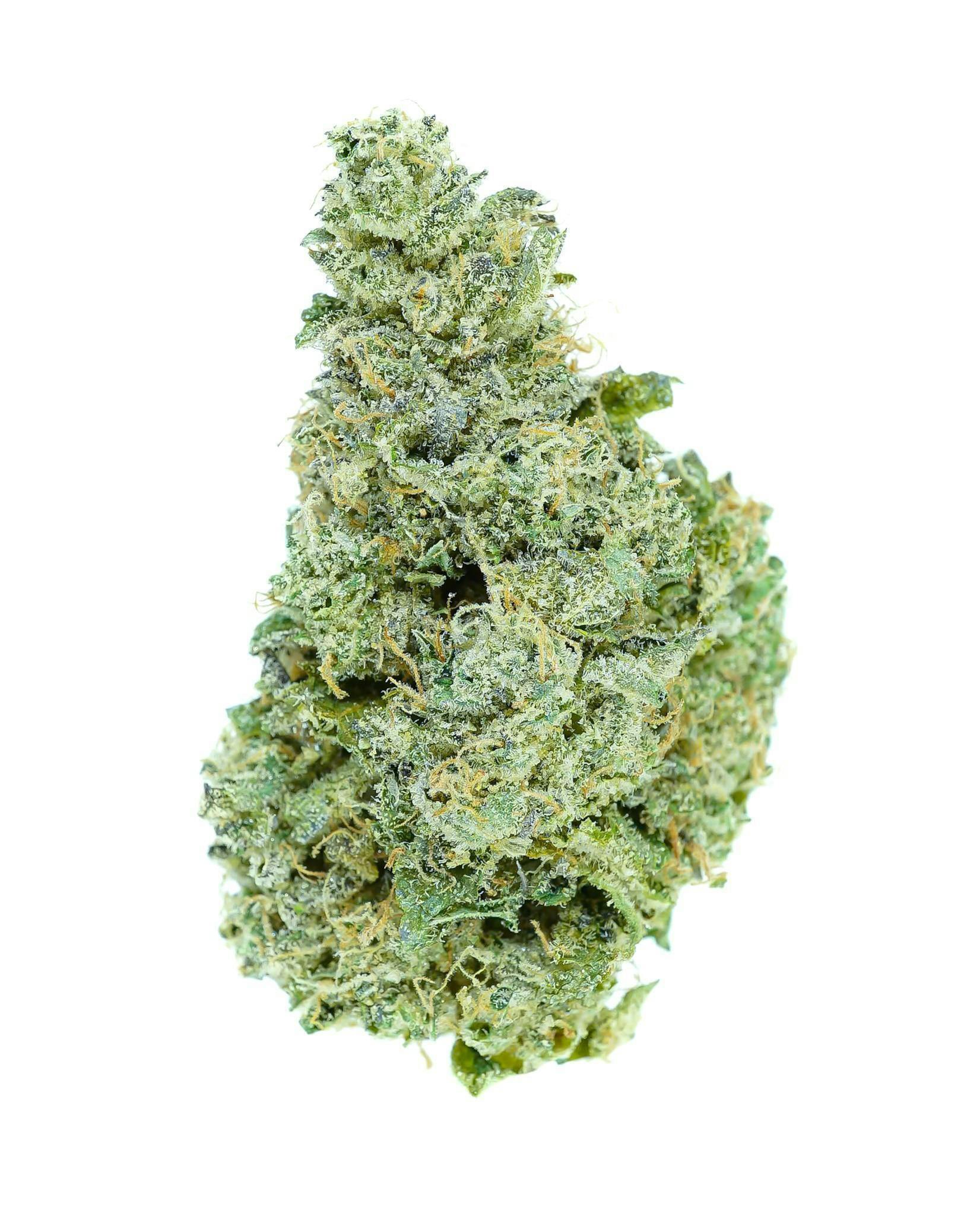 Prūf Cultivar: Sherb N R*ntz